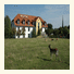 Hotel Schwartze