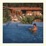 Pension Sonnenwald