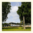 Hotel Hesselet photo