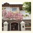 Casa Foch photo
