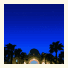 Domina Oasis Resort photo