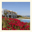 Melia Sharm Resort & Spa photo