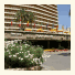 Hotel Don Pancho photo