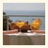 Hotel Claramar photo