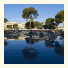 Viva Mallorca photo