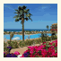 Confortel Calas de Conil photo