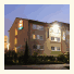 Ibis Cornella