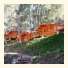 Albergue Camping El Chorro
