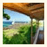 Isla Baja Suites