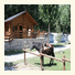 Bungalows Nou Camping