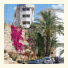 Hotel L'Alguer photo
