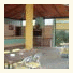 Apartamentos Turísticos los Llanos