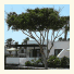 Bungalows Playa Limones photo