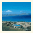 Pollentia Club Resort photo
