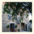 Pazo Carrasqueira photo