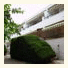 Apartamentos Fèlix photo