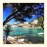Sirenis Cala Llonga Resort photo