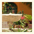 Best Western Hotel Cervantes photo