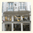 Hotel Argentino photo