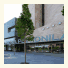 Hotel Reina Petronila photo