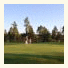 Bjärkas Golf