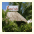 Beachside Resort