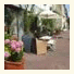 La Villa des Fleurs