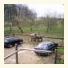 La Ferme du Manoir photo