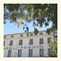 Logis Toppin photo