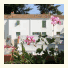 Les Hauts De Cocraud photo