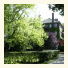 Le Manoir De La Foret