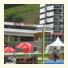 Hotel Le Pelvoux photo
