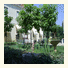 Le Domaine