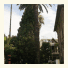 Villa Aramis Guesthouse