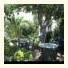 Hotel les Acanthes photo