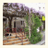 Logis Auberge De La Tour photo
