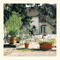 Logis Auberge Du Capucin Gourmand