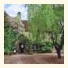 The Manor House photo