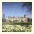 Lucknam Park Hotel photo