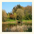 Wildwood Garden Suites photo