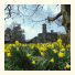 Gliffaes Country House Hotel