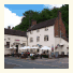 The Swan