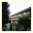 Forest View Hotel photo