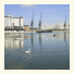 Ibis London Excel-Docklands photo