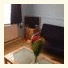 Stratford London Olympics Apartment photo
