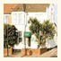 Trinity House Hotel photo