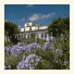 The Old Coastguard Hotel photo