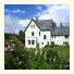 The Forest Country House B&B