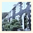 Arbour Guest House
