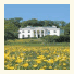 Best Western Lamphey Court Hotel and Spa
